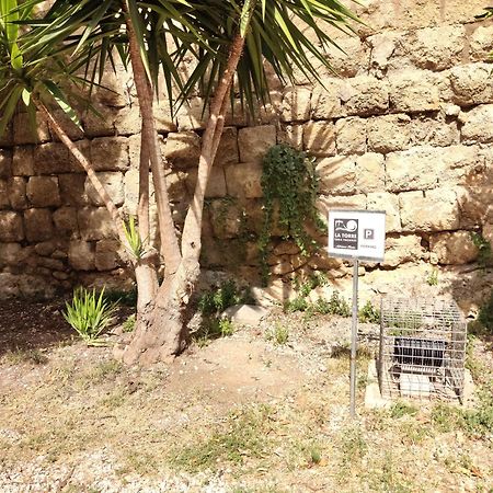 La Torre Daire Tarquinia Dış mekan fotoğraf