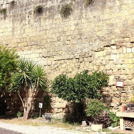 La Torre Daire Tarquinia Dış mekan fotoğraf