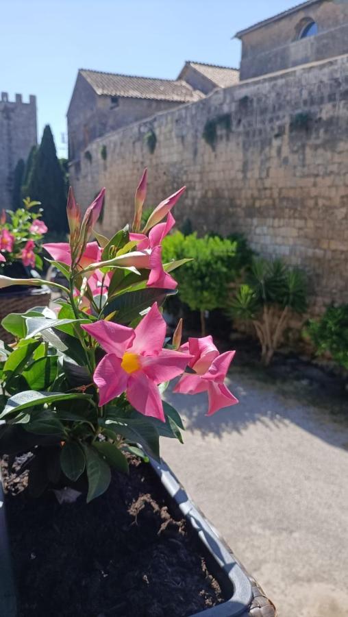 La Torre Daire Tarquinia Dış mekan fotoğraf